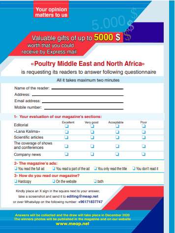 questionnaire english