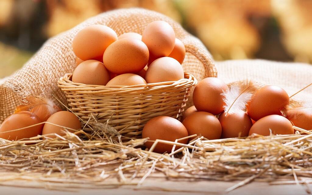 eggs