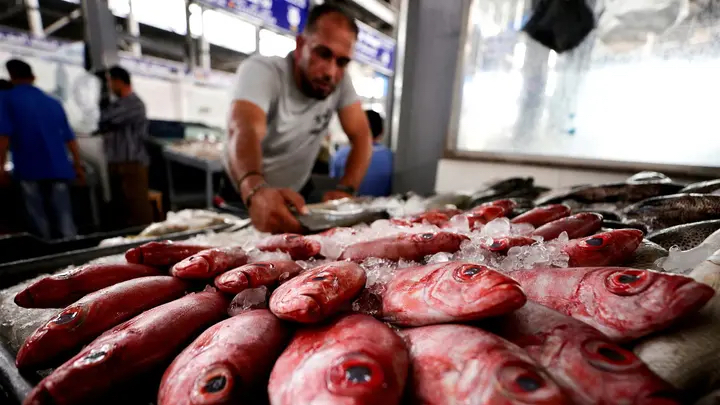 fish copy