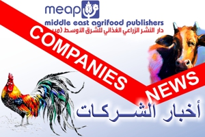 companies news300