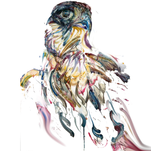 painting_feathers_falcon500.png